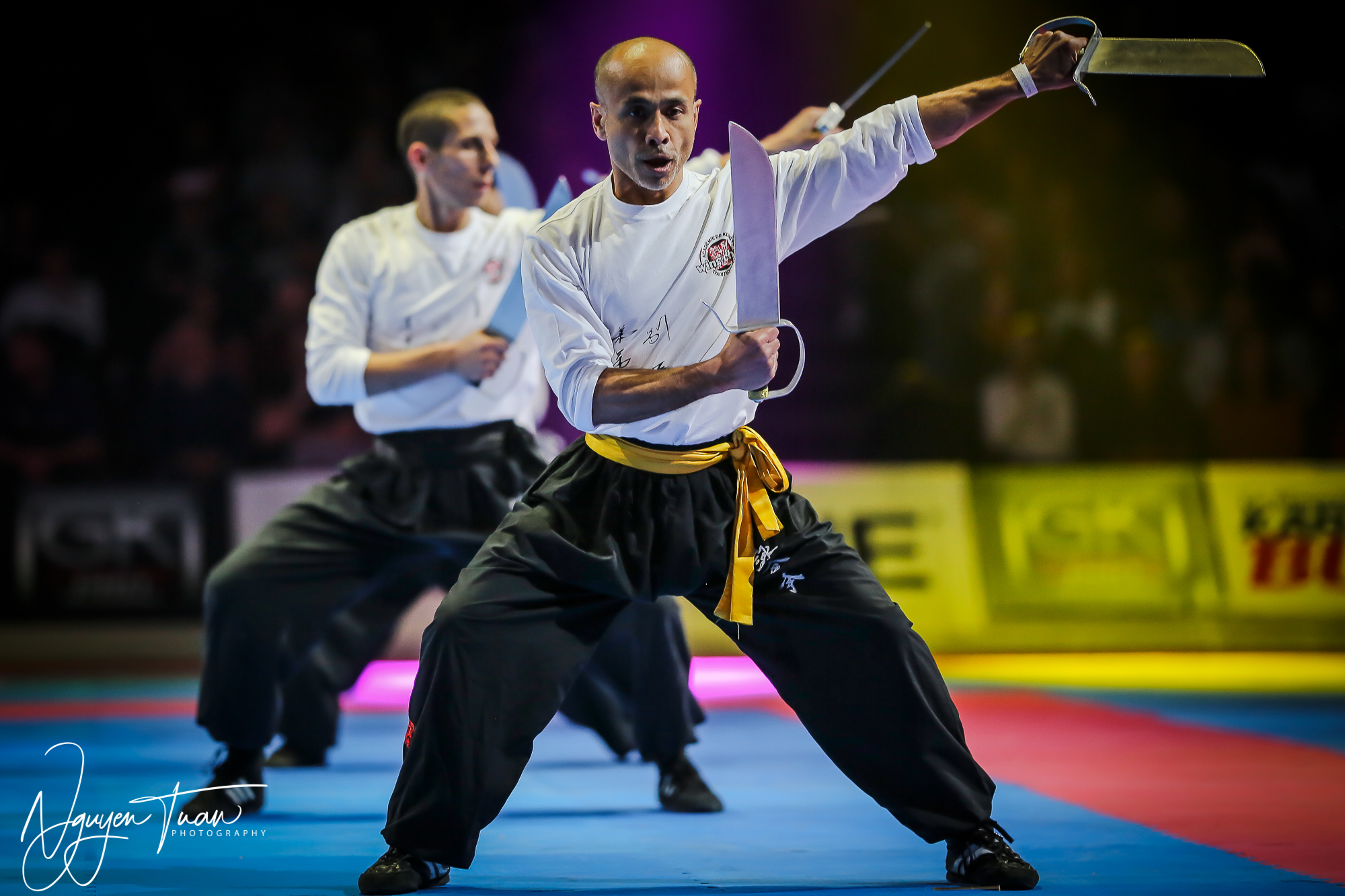 20190324 Festival des Arts Martiaux 3908